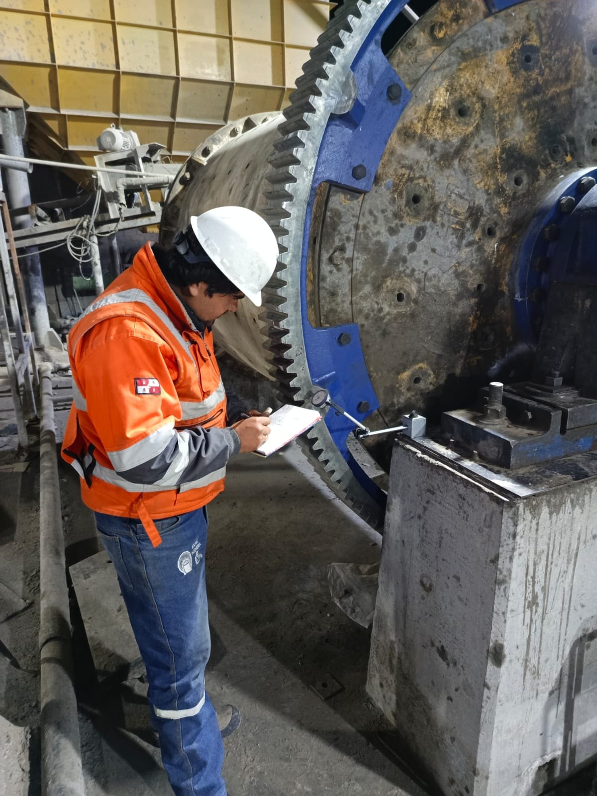 Imagen de WhatsApp 2025-01-05 a las 17.53.44_d0bef116