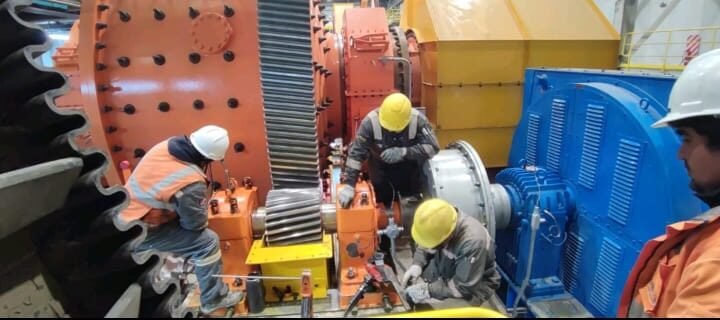 WhatsApp Image 2026-01-30 at 11.02.24